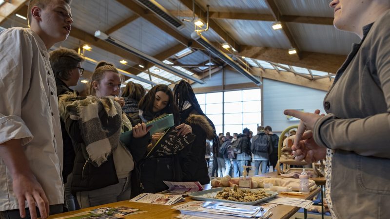 Six cents collégiens réunis pour préparer leur entrée au lycée et leur avenir
