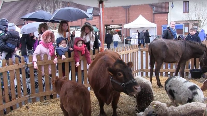 Coronavirus : pas d’annulation de la foire agricole de Saint-Pol… pour le moment