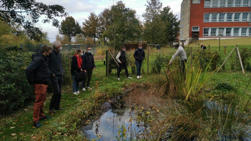 Des ingénieurs en herbe contribuent à réimplanter la biodiversité au lycée Châtelet