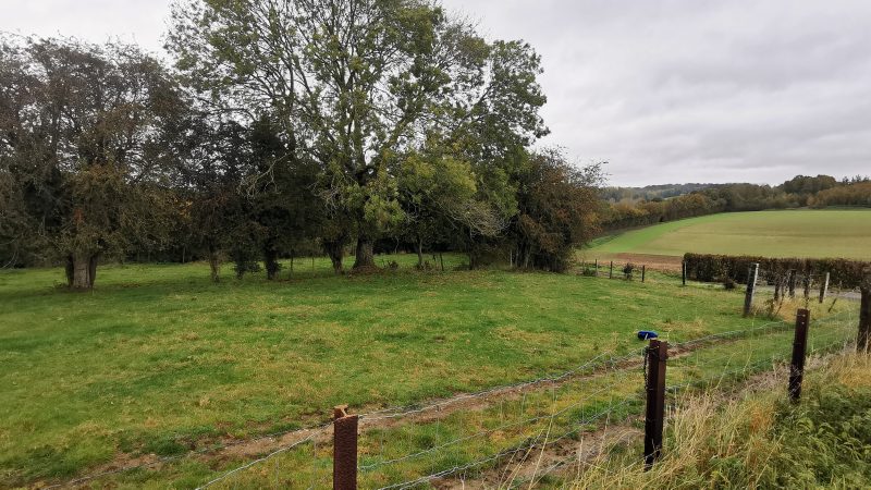La Bête d’Auxi suspectée d’avoir dévoré le cadavre d’un veau à Séricourt