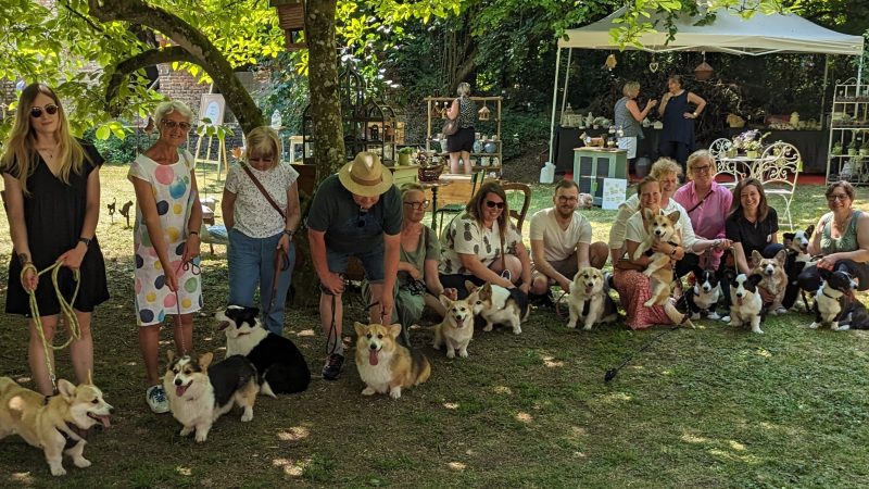 Vieil-Hesdin : jardin en fête et concours de corgis au manoir Marceau ce dimanche !