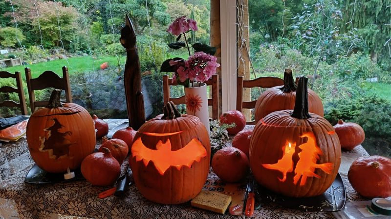Hernicourt : un dimanche magique avec sorcières et citrouilles à Bouh-tanica !